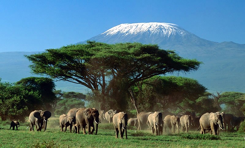 Amboseli