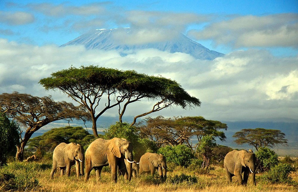 Amboseli