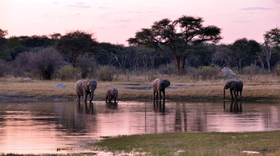 Hwange | LAT.40