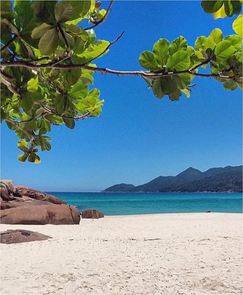 Isla grande | LAT.40