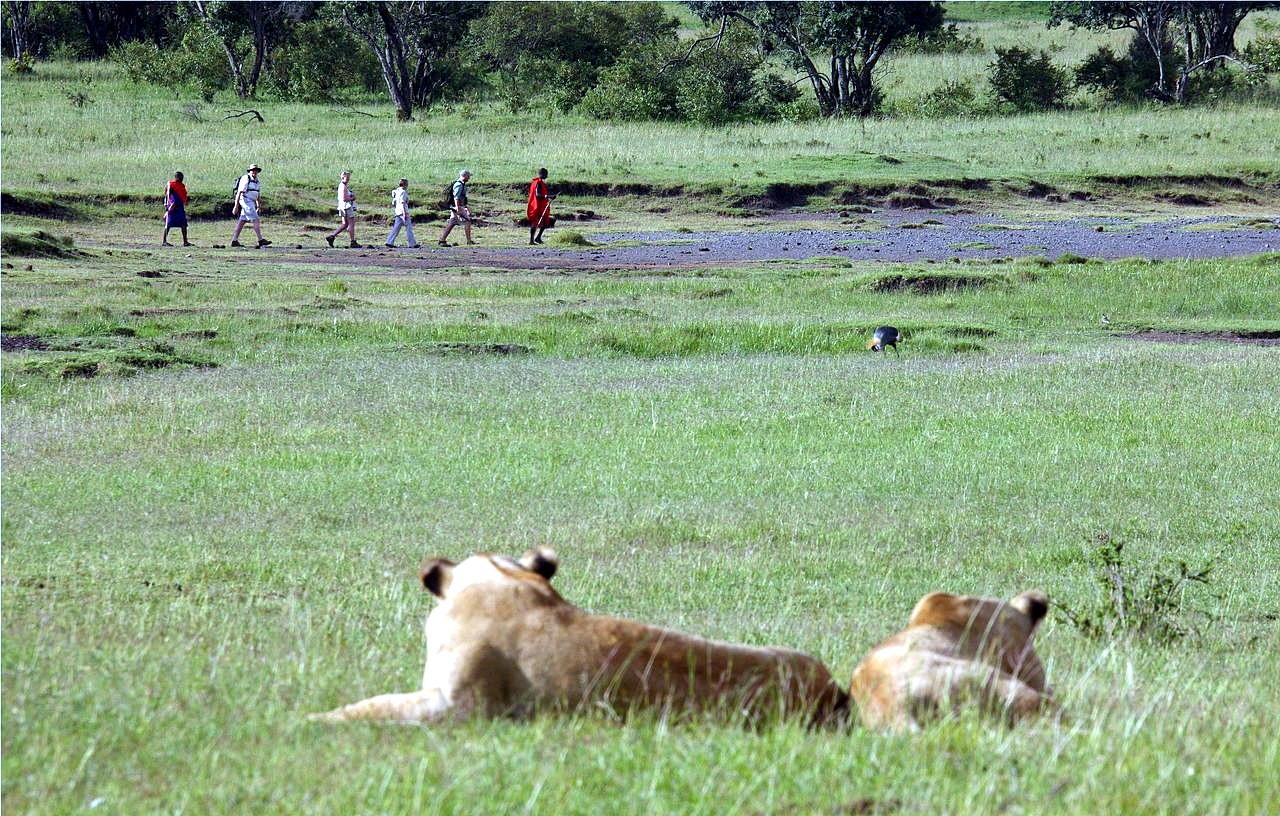 Exclusivo safari en Ruanda y Zambia diseñado por LAT.40