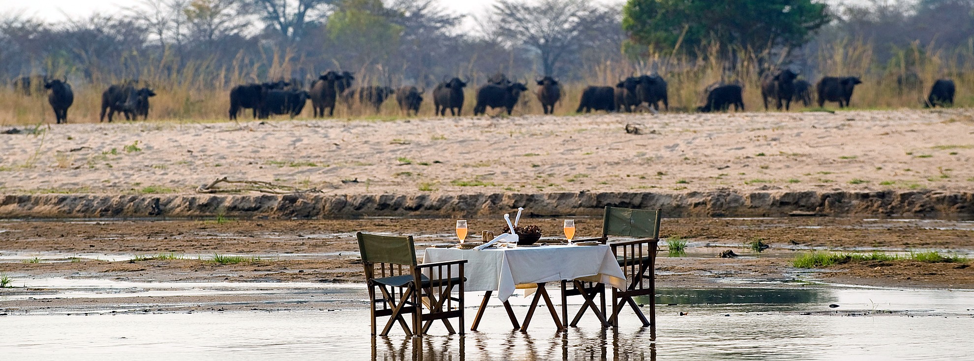 Luangwa Valley