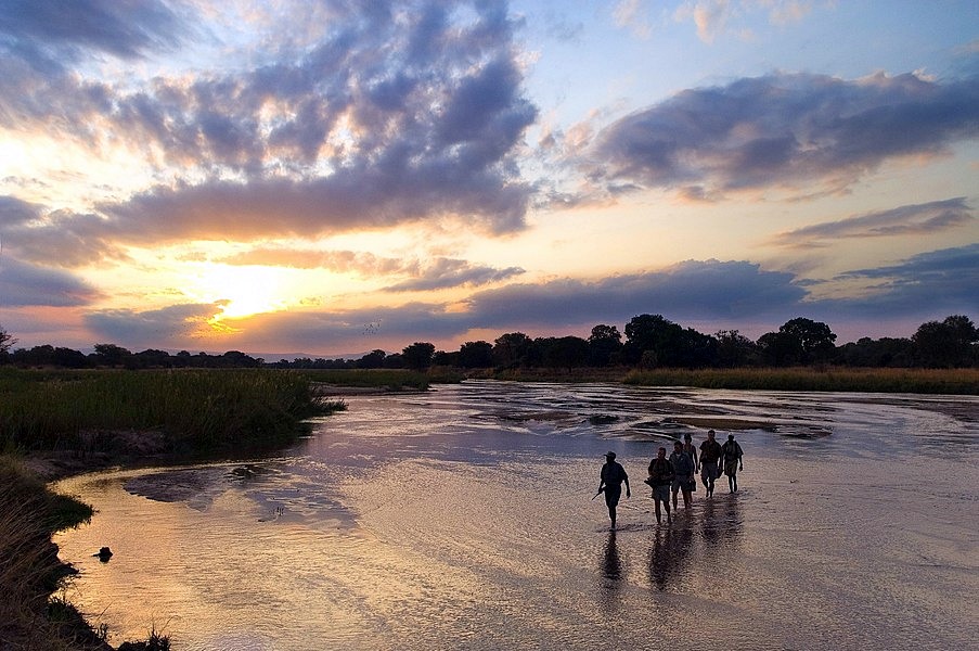 Luna de miel Luangwa Valley, Lower Zambezi y Fanjove diseñado por LAT.40