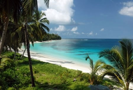 Moyo Island | LAT.40