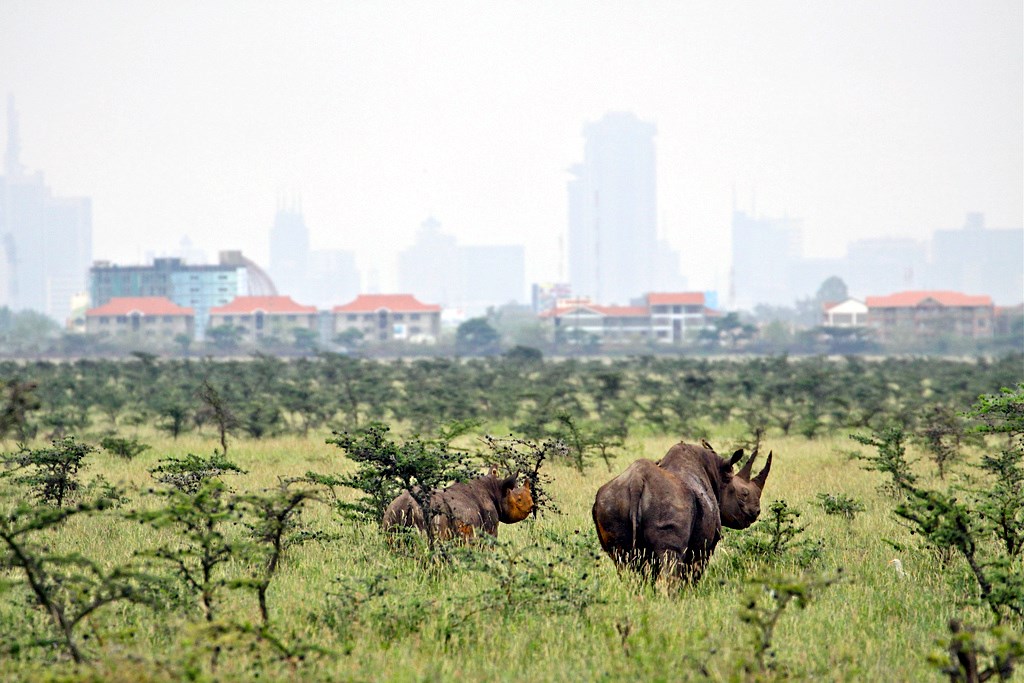 Nairobi | LAT.40