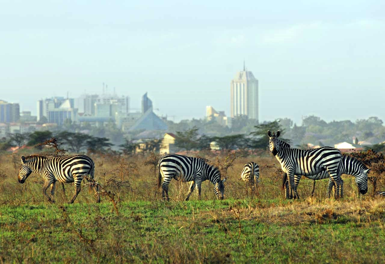 Kenia salvaje y Fanjove Island diseñado por LAT.40