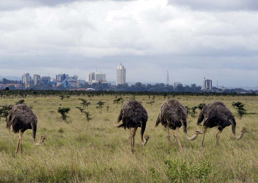 Nairobi | LAT.40
