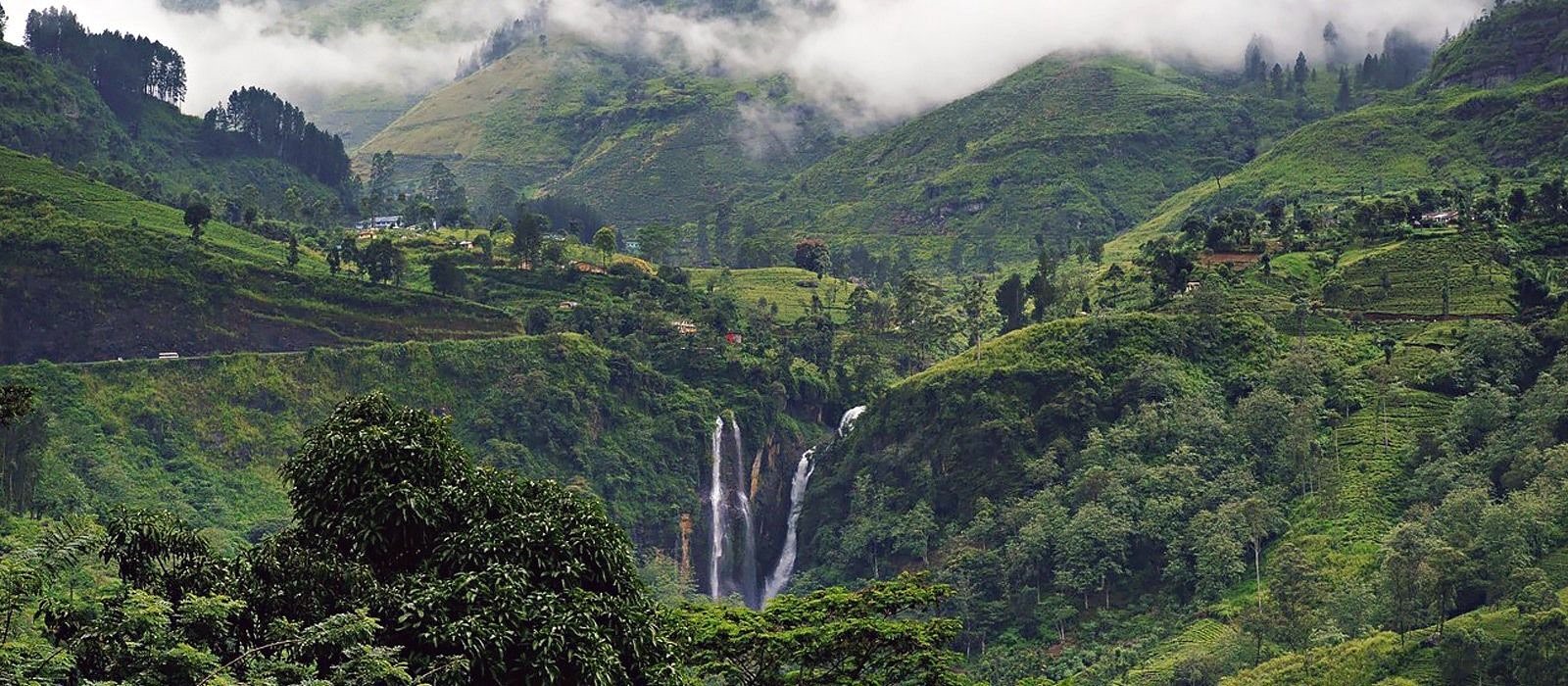 Viaje a Sri Lanka diseñado por LAT.40