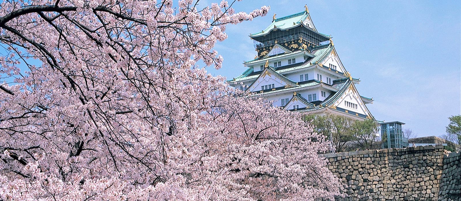 Osaka | LAT.40