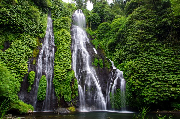 Ubud | LAT.40