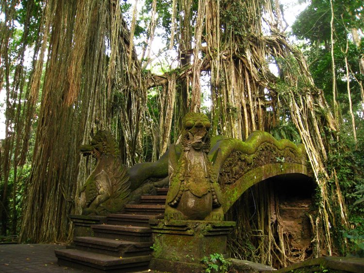 Ubud | LAT.40