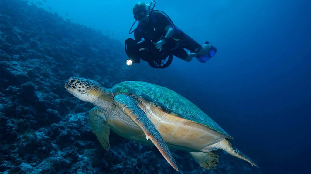 Kudadoo Maldives Private Island en Maldivas