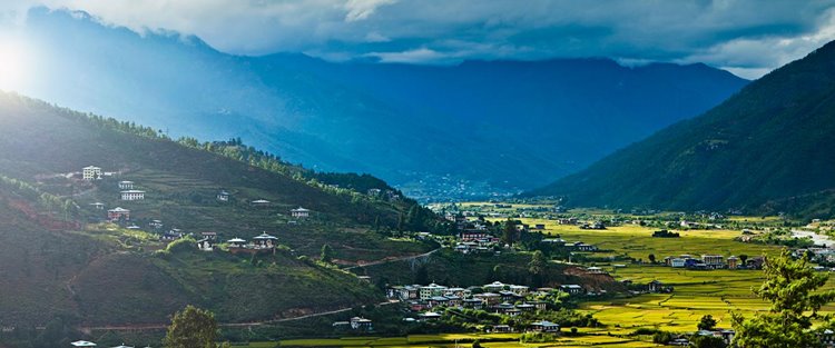 Paro