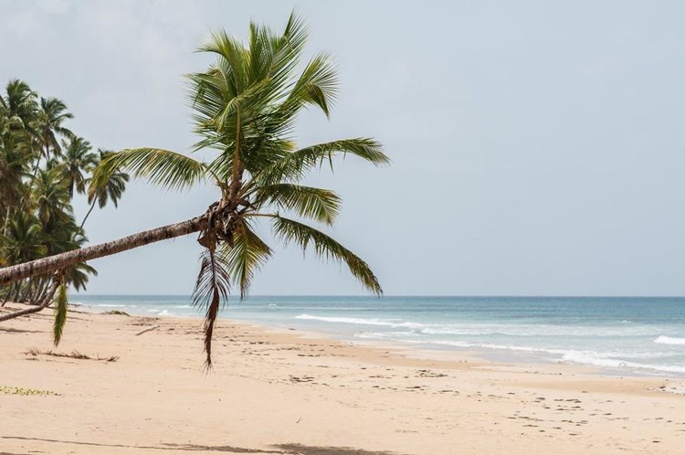 Las Terrenas