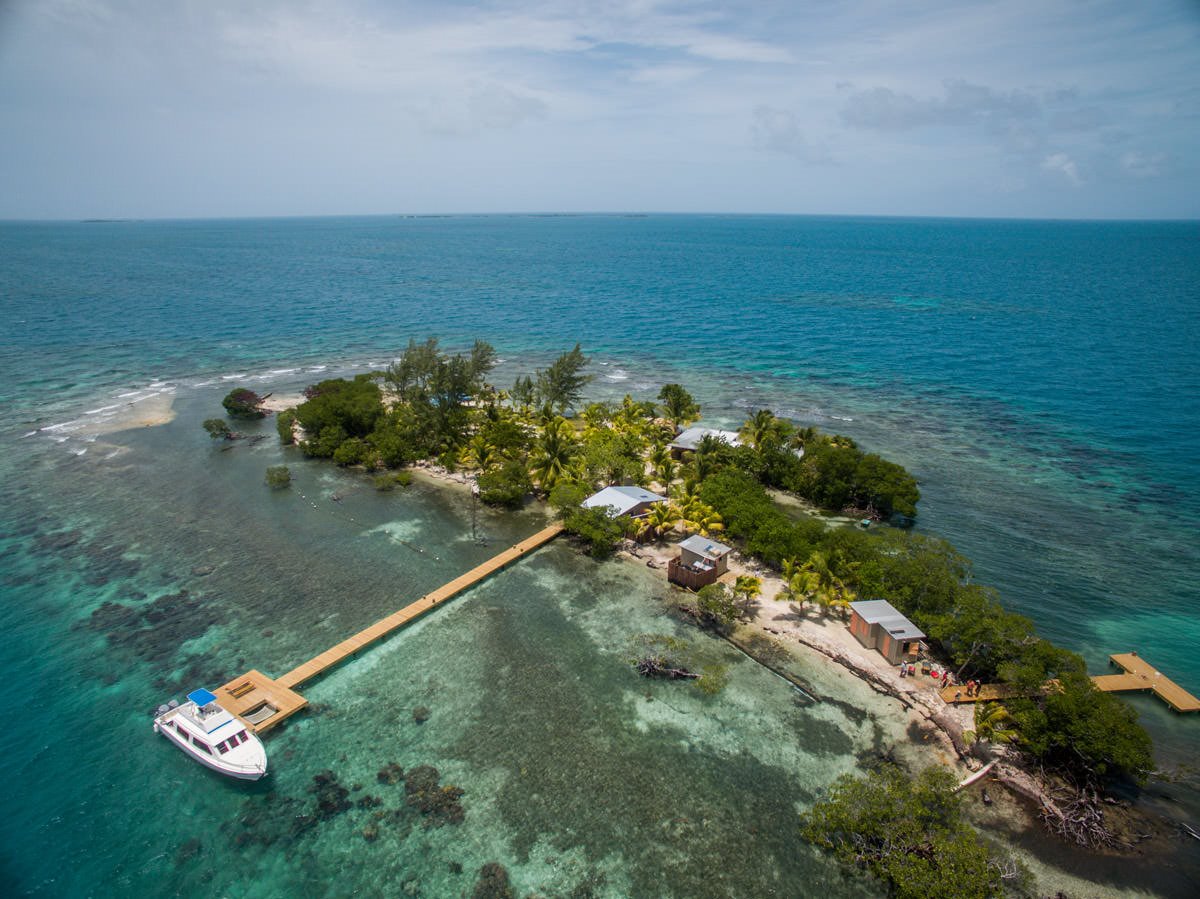 Coral Caye en su destino