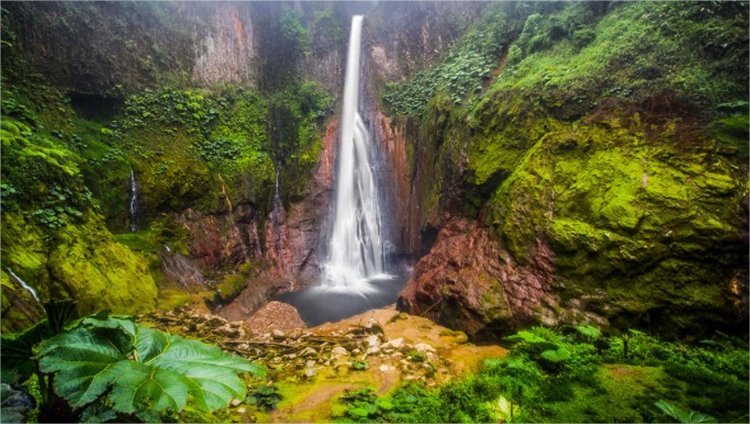 Costa Rica | LAT.40