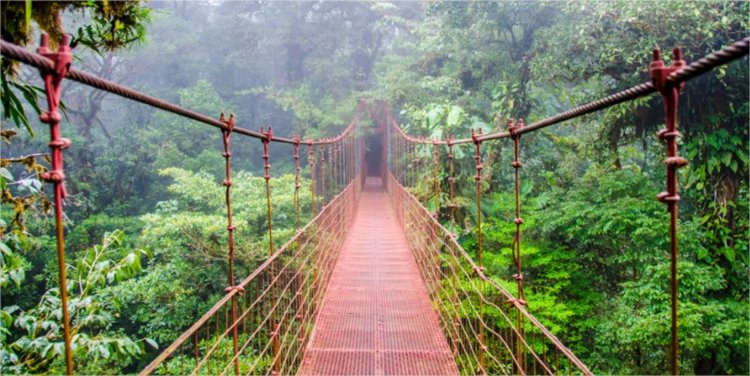 Costa Rica | LAT.40