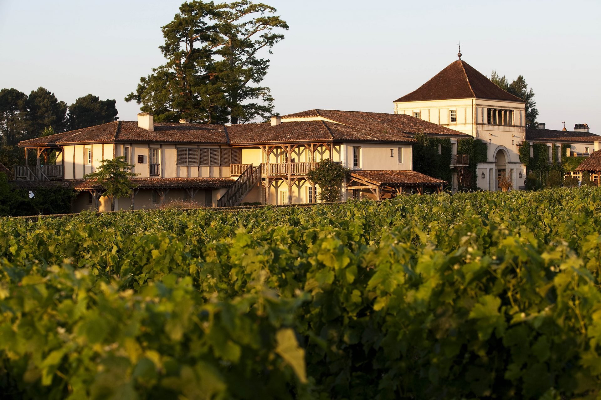 Les Sources de Caudalie en France