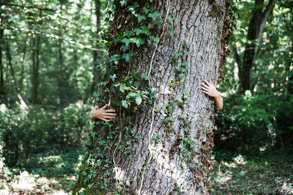 Les Sources de Caudalie en France