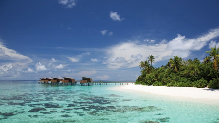 Park Hyatt Hadahaa en Maldivas