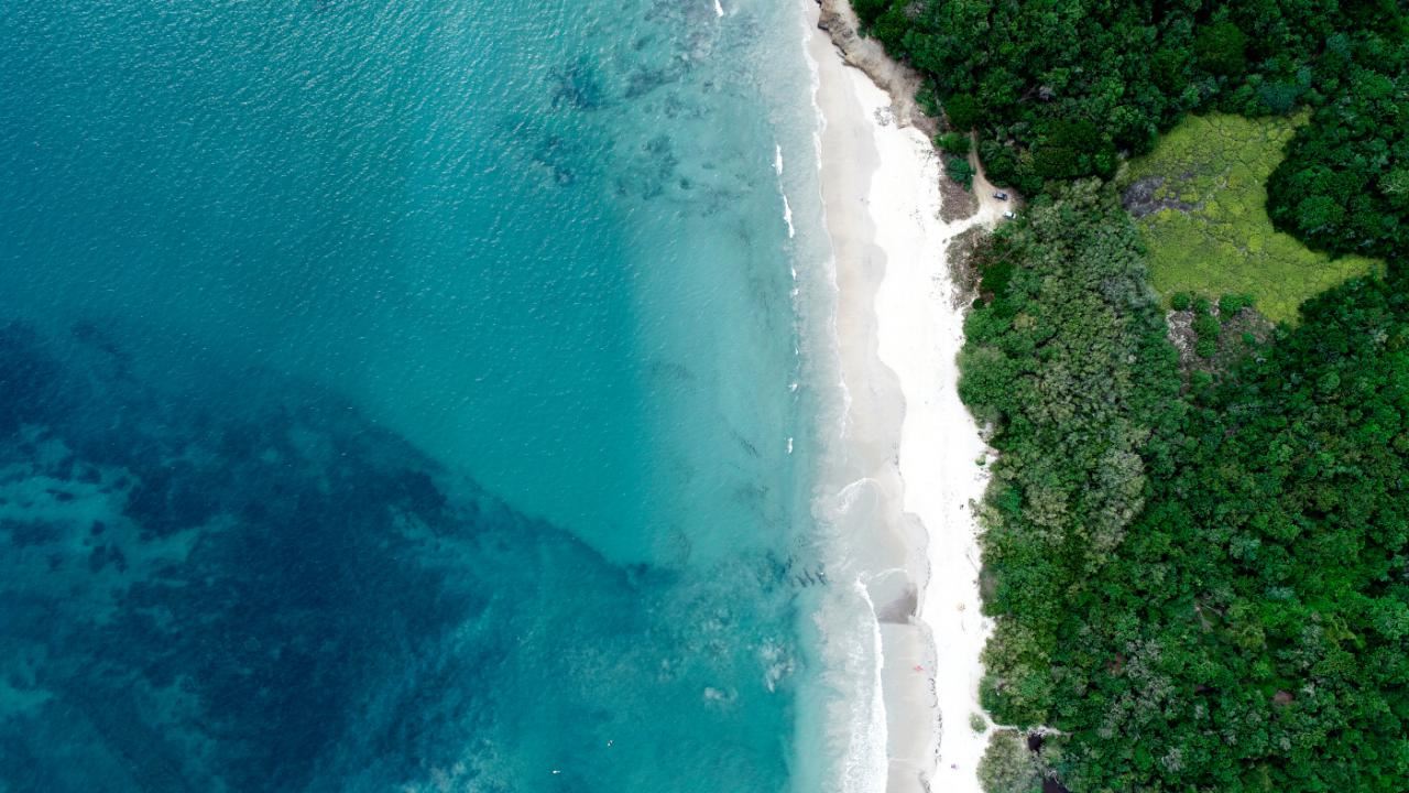 Riviera Nayarit | LAT.40