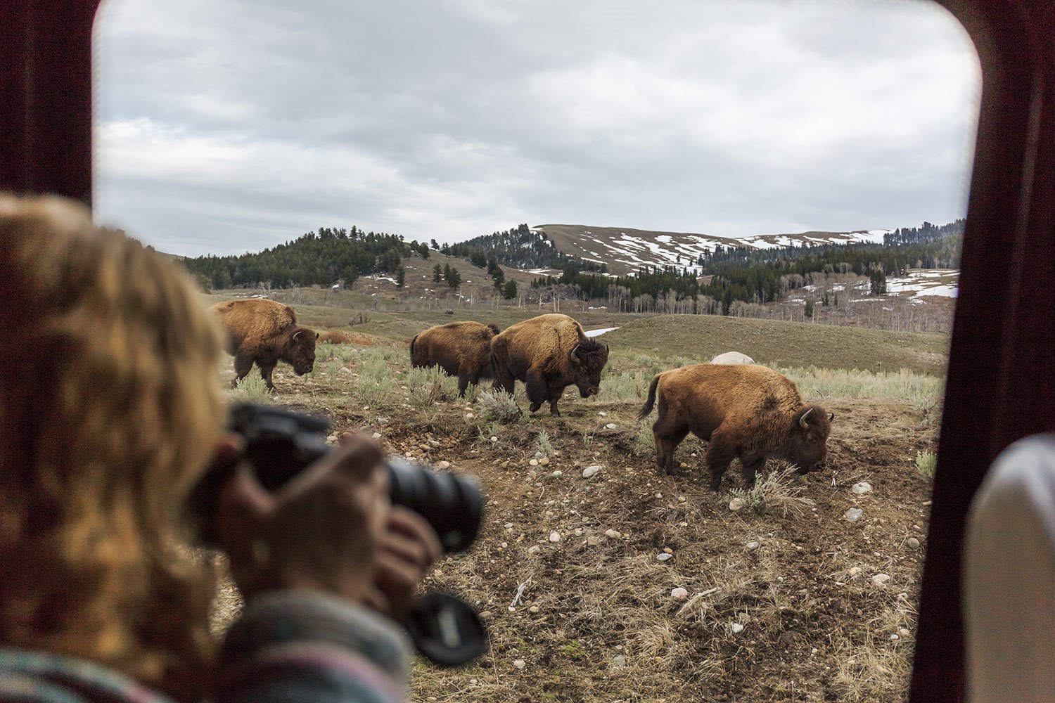 Lone Mountain Ranch en United States