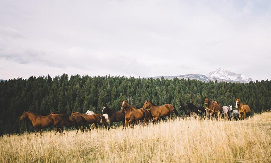 Lone Mountain Ranch en United States