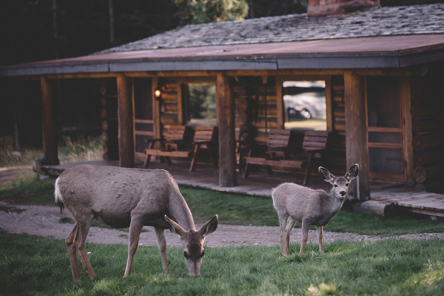 Lone Mountain Ranch en United States