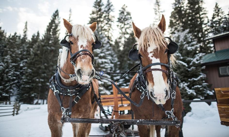Lone Mountain Ranch en United States