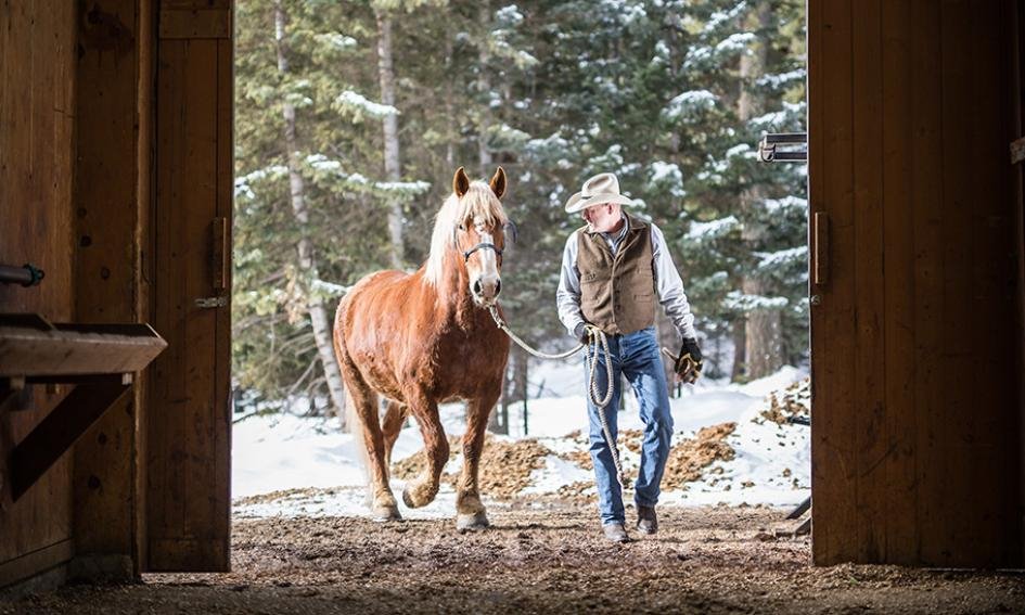 Lone Mountain Ranch en United States