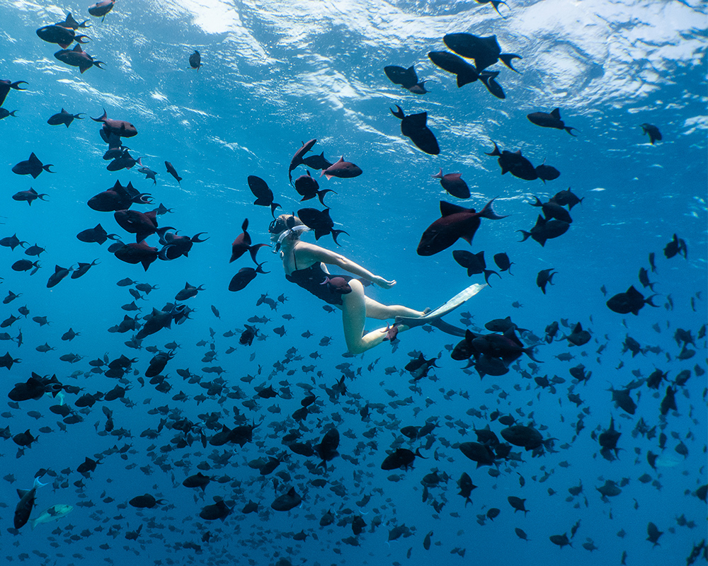 Amilla Maldives en Maldivas