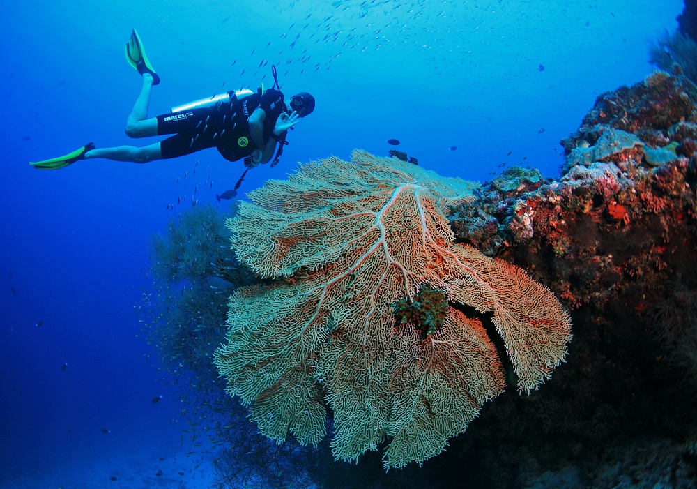 Amilla Maldives en Maldivas