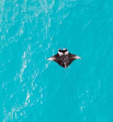 LUX* SOUTH ARI ATOLL en Maldivas