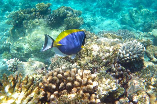 Gili Lankanfushi Maldives en Maldivas