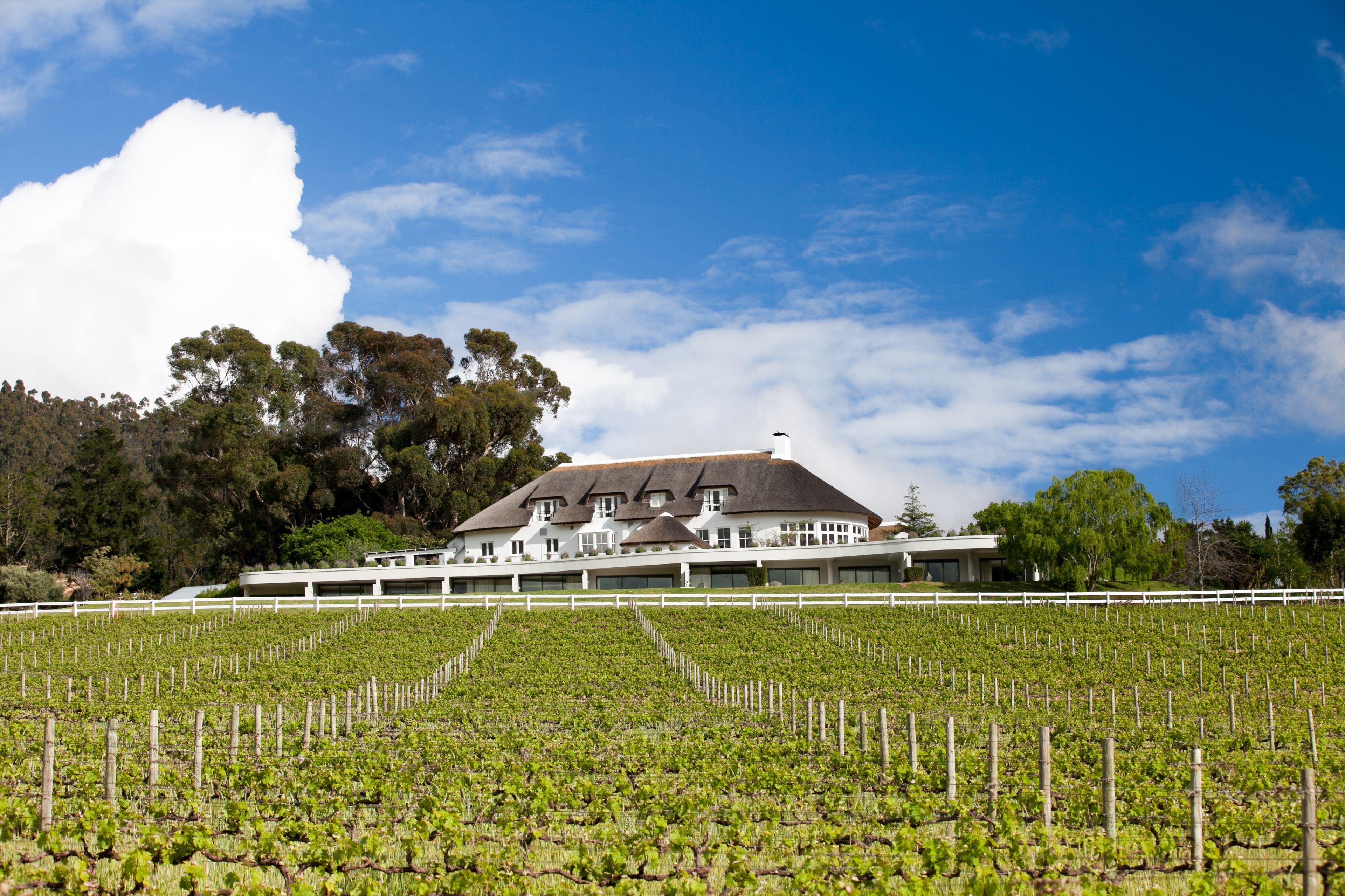 Mont Rochelle Hotel & Vineyard en Ciudad del Cabo