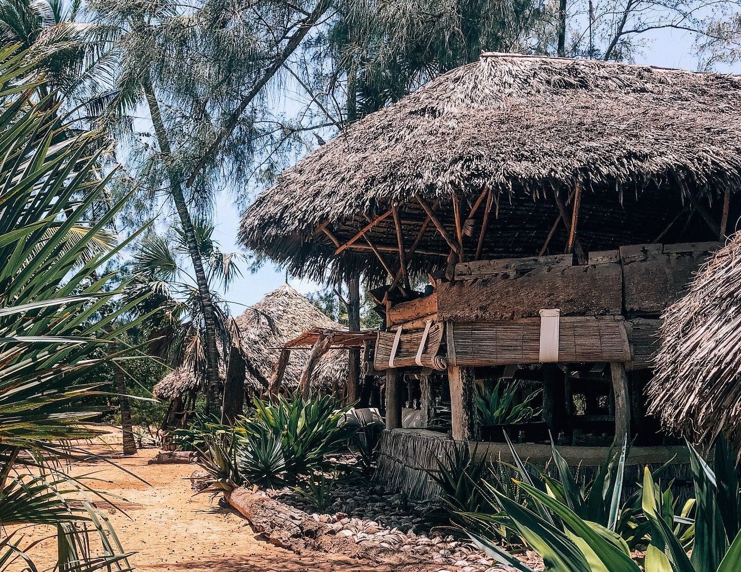 Che Sale en Kenia