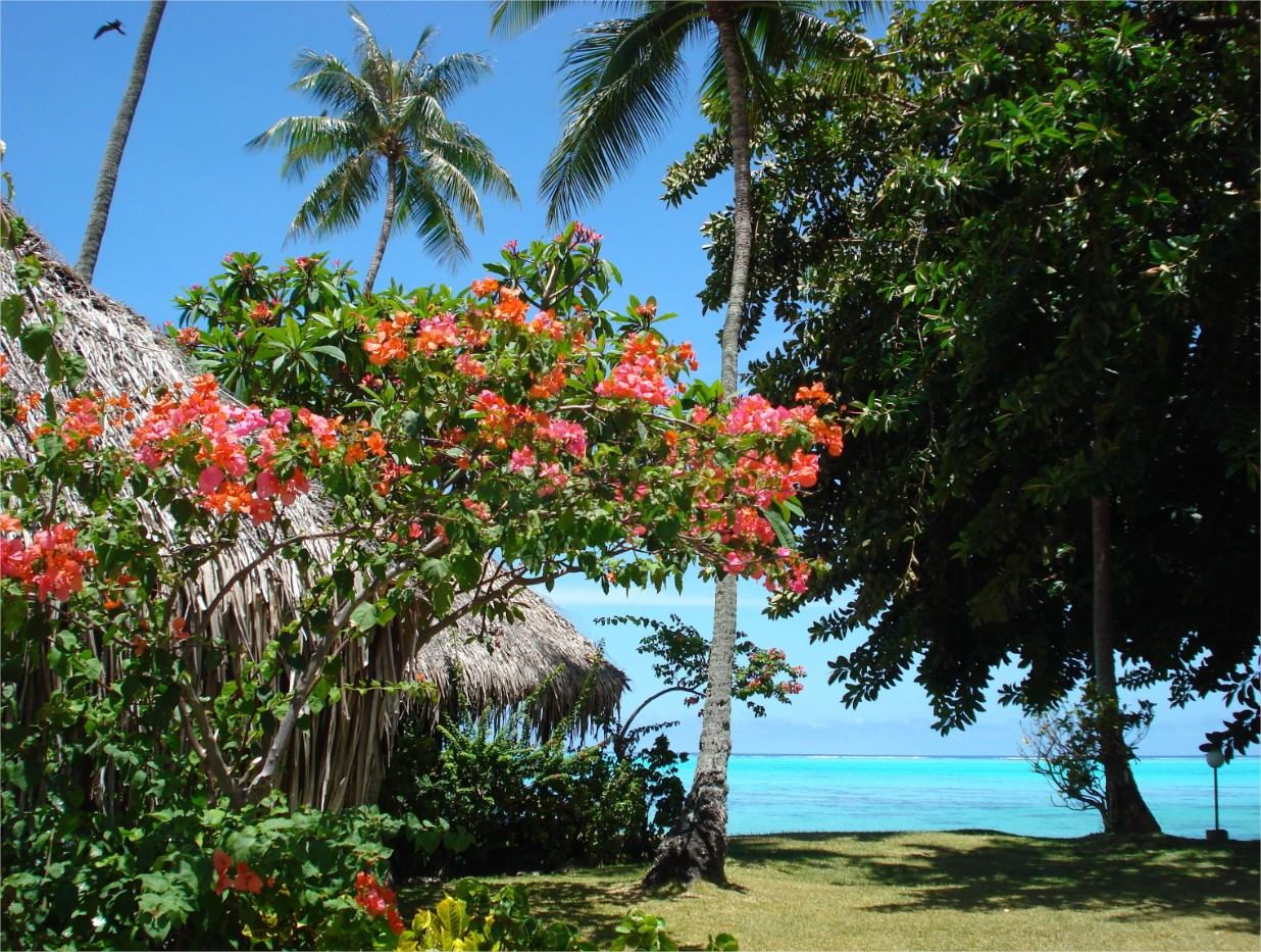 Hotel Hibiscus en Moorea