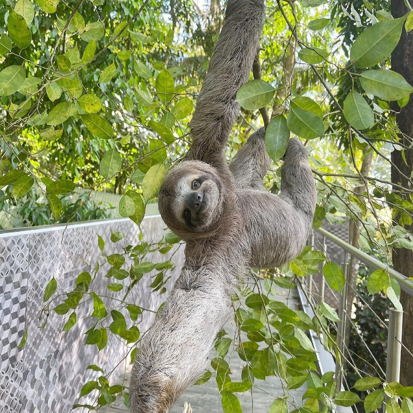 Makanda by the Sea en Costa Rica