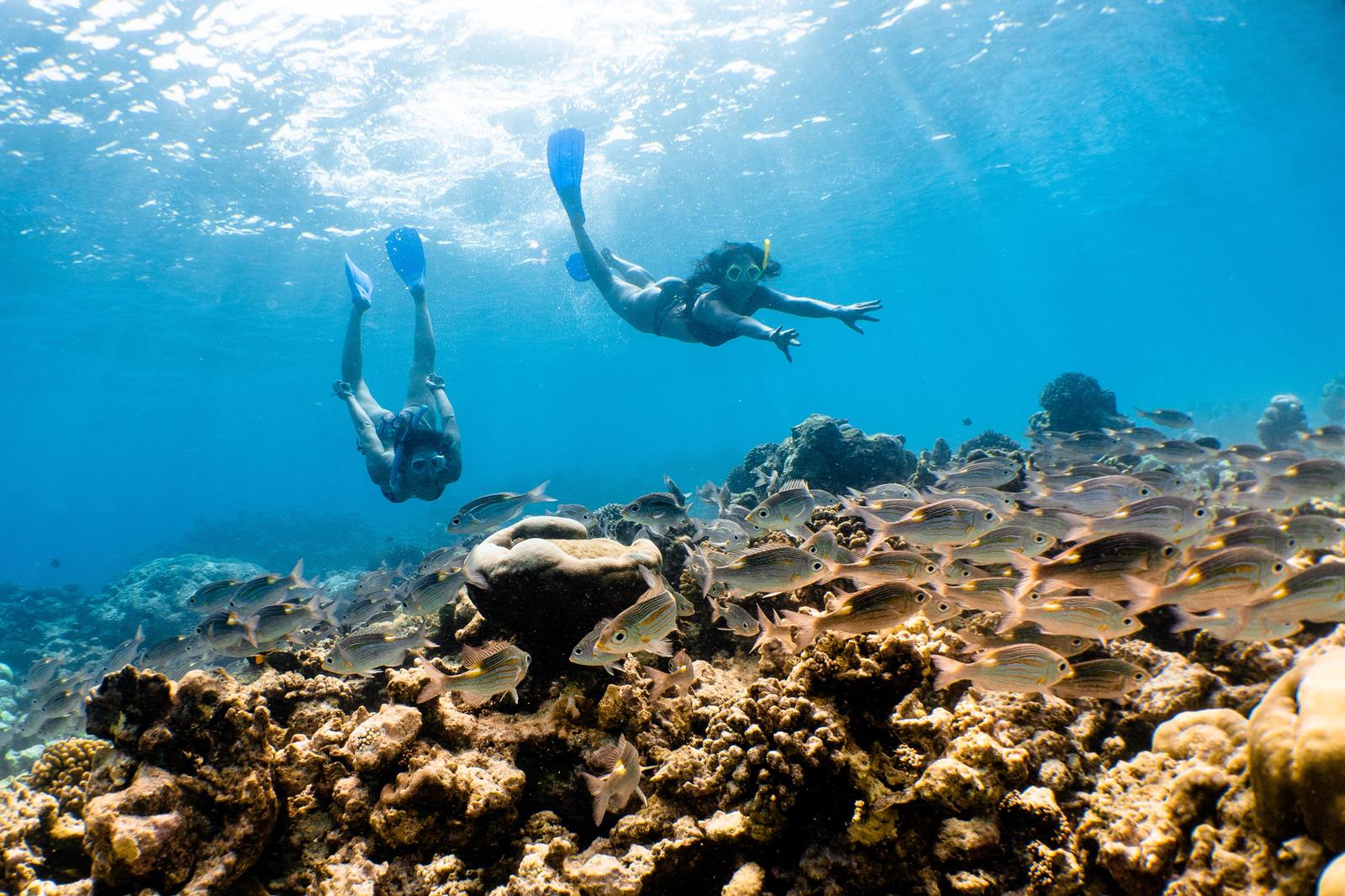 Mövenpick Resort Kuredhivaru Maldives en Maldivas