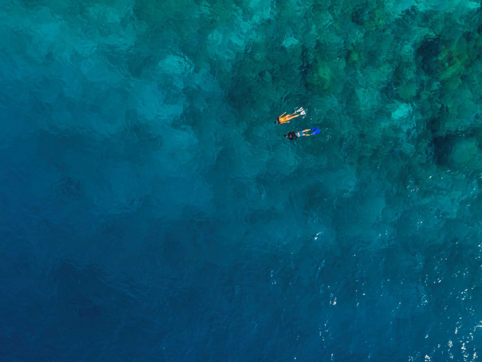 Mövenpick Resort Kuredhivaru Maldives en Maldivas