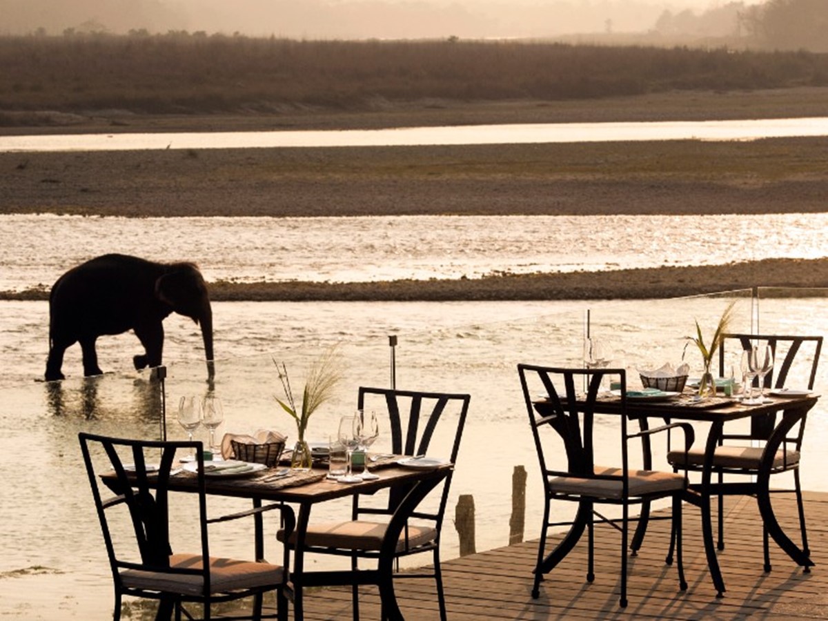 Meghauli Serai A Taj Safari 