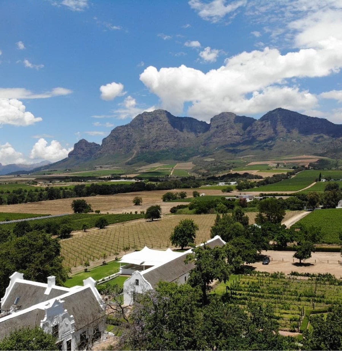 Vrede en Lust Wine Estate en Ciudad del Cabo
