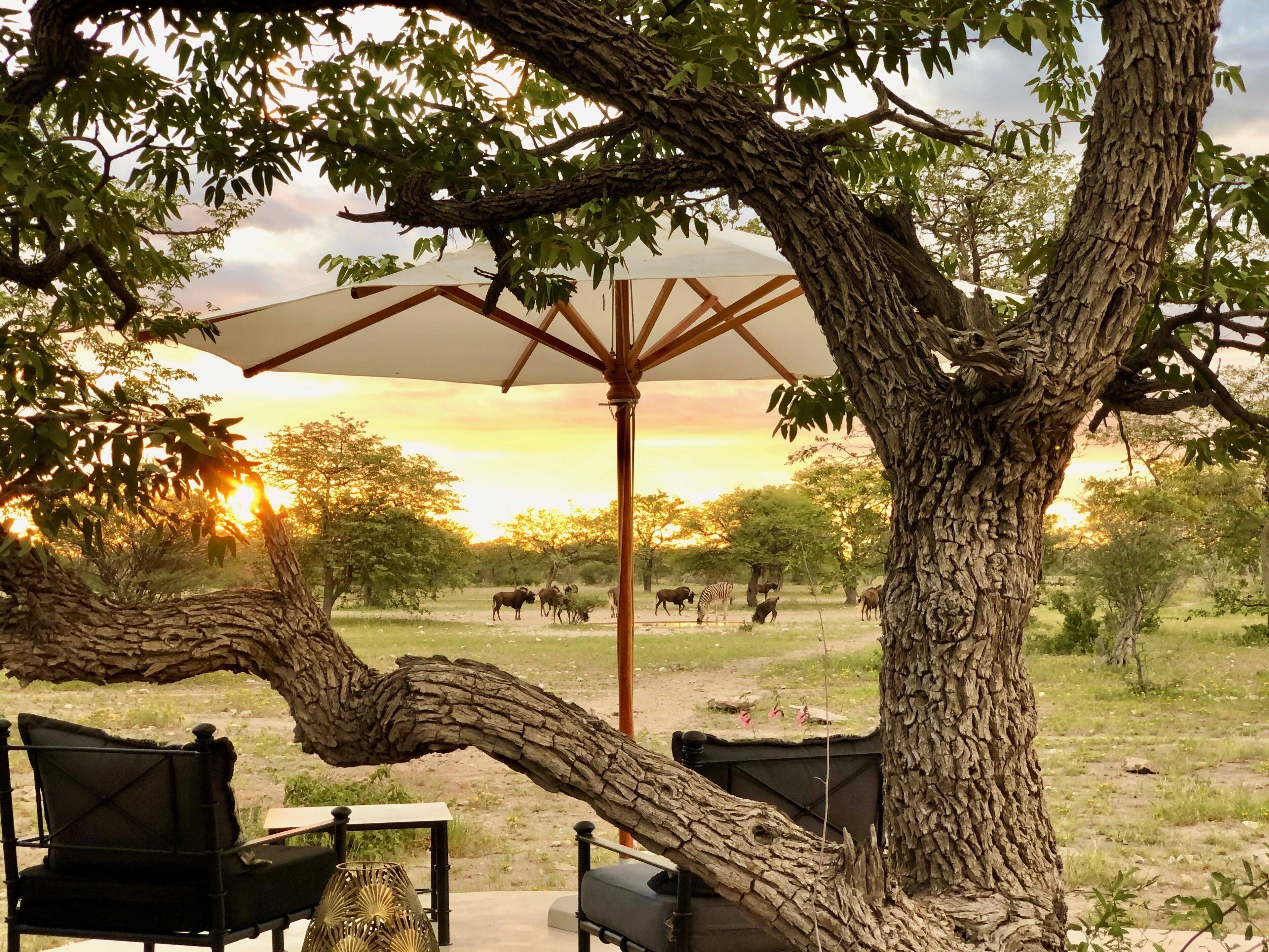 Etosha Oberland Lodge