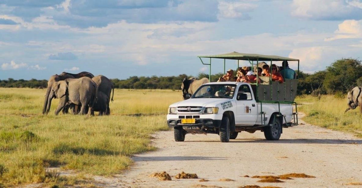 Etosha Parque Nacional 