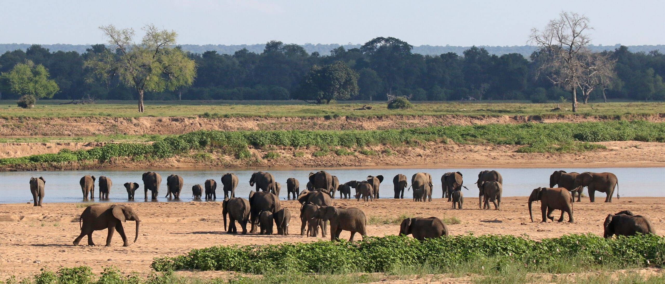 Chilo Tented Camp en Mahove