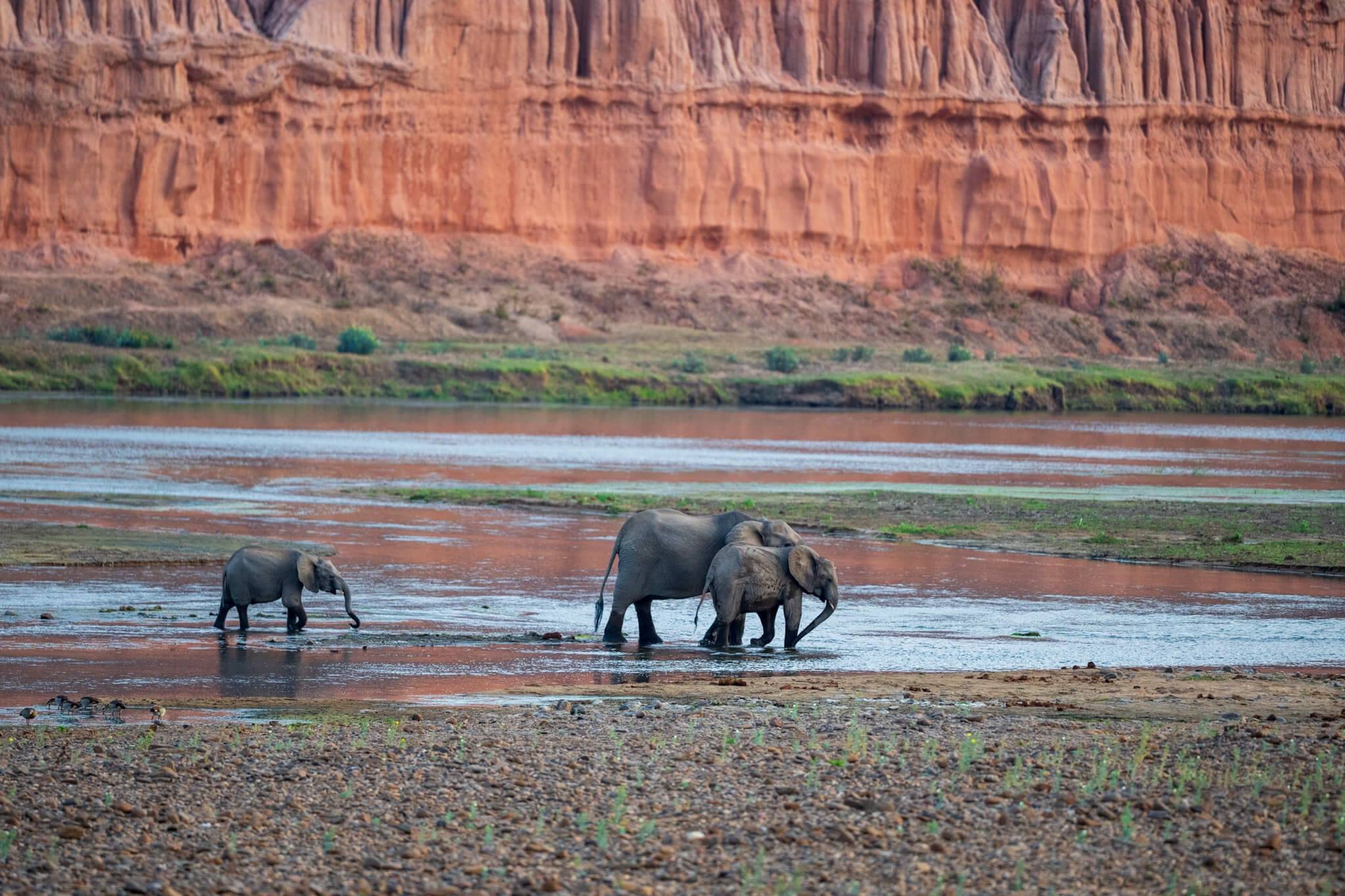 Gonarezhou National Park
