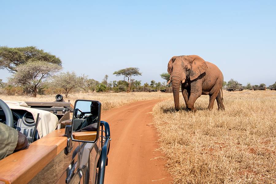 Gonarezhou National Park