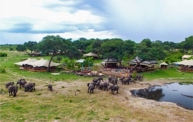 Somalisa Acacia Camp