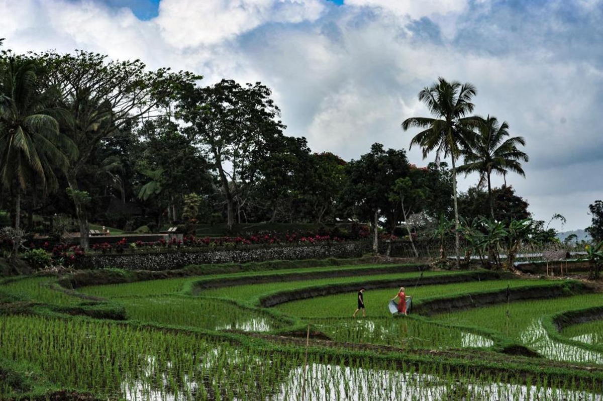 Ijen Resort and Villas - The Hidden Paradise en Indonesia