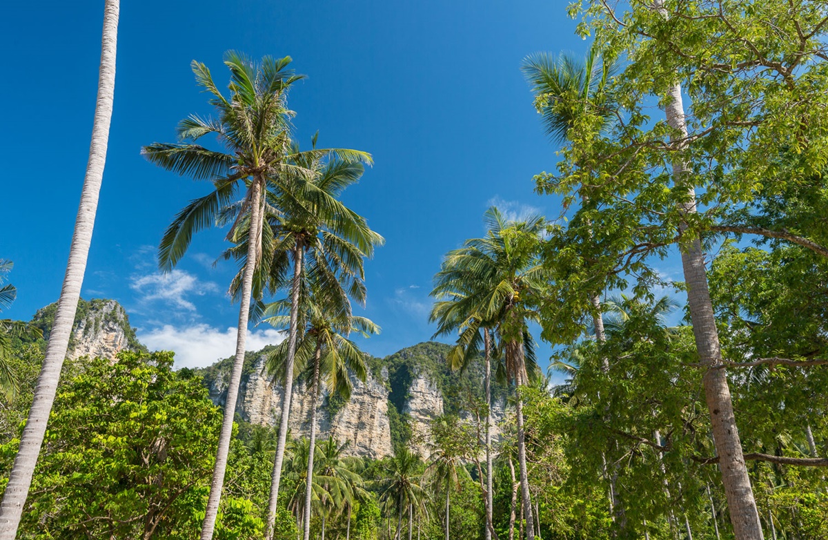 Tinidee Hideaway Tonsai Beach Krabi